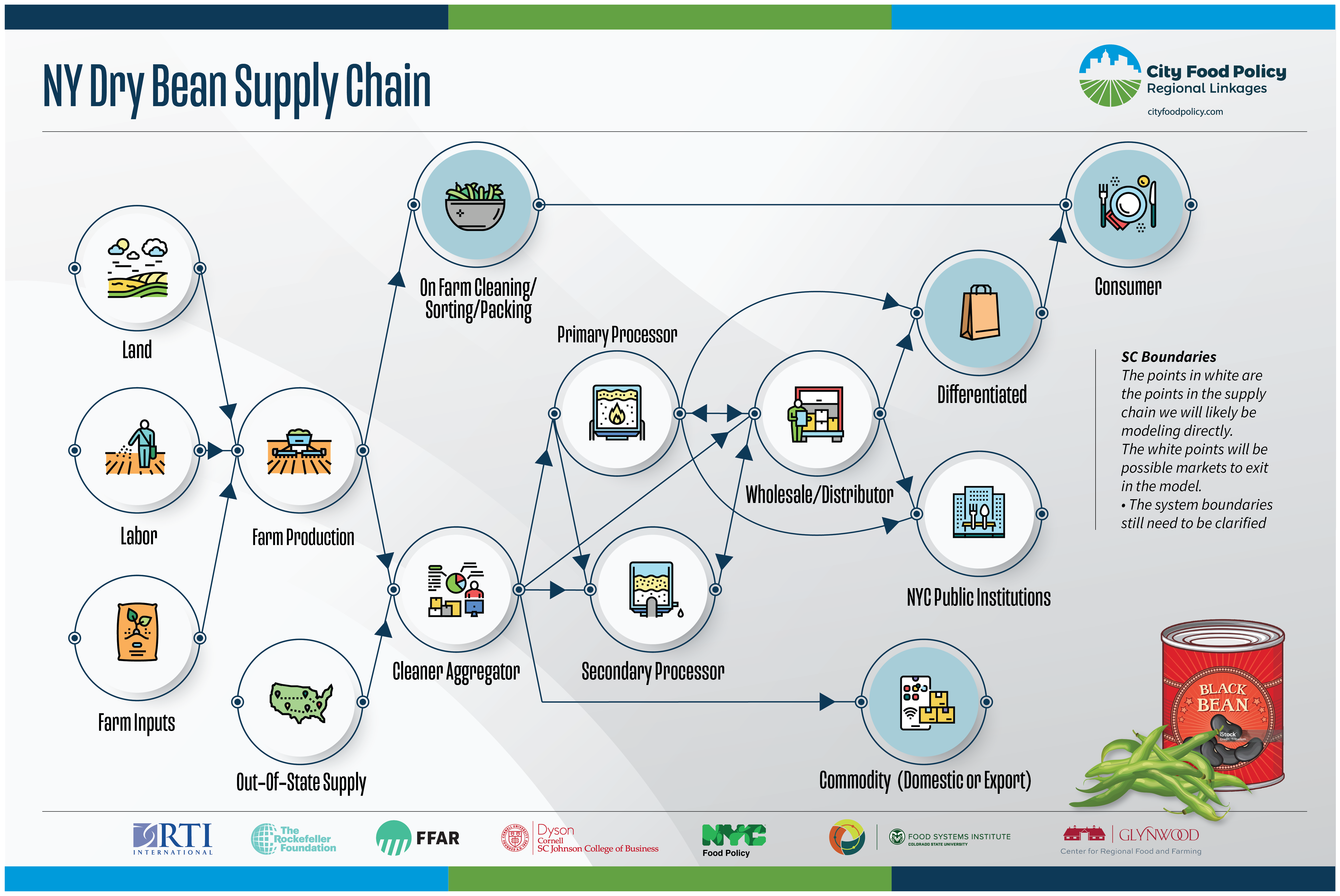Infographic of Bean Supply Chain