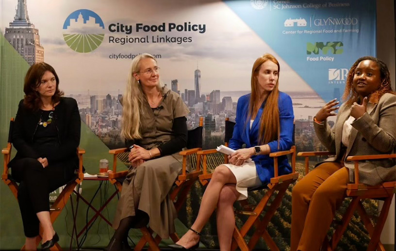 International Advisors presenting during Climate Week 2024
