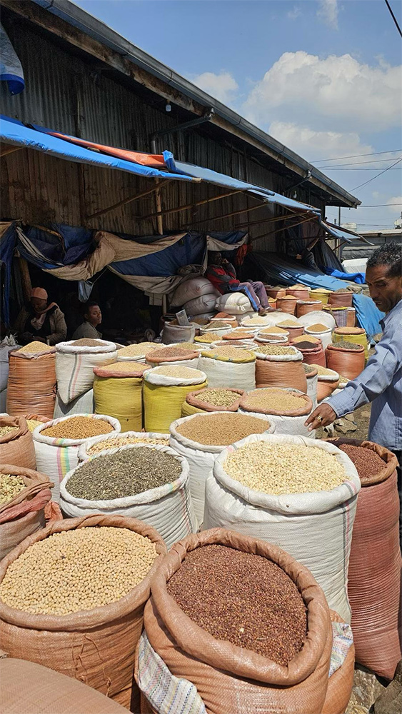 Photo of a market visit Addis Ababa