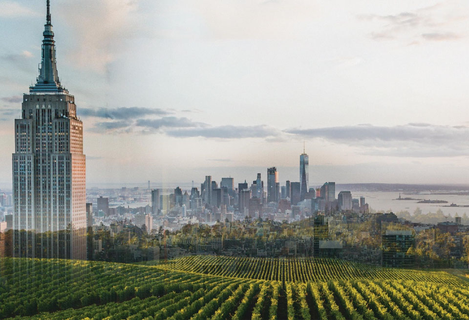 NYC Farm scene